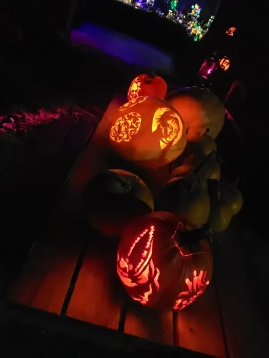 A display of illuminated carved pumpkins